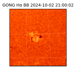 gong - 2024-10-02T21:00:02