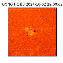 gong - 2024-10-02T22:00:02