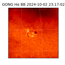 gong - 2024-10-02T23:17:02