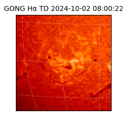 gong - 2024-10-02T08:00:22