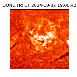 gong - 2024-10-02T19:00:42