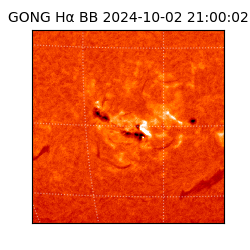 gong - 2024-10-02T21:00:02