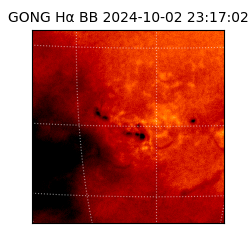 gong - 2024-10-02T23:17:02