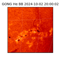 gong - 2024-10-02T20:00:02