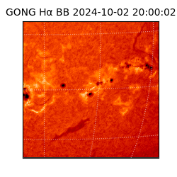 gong - 2024-10-02T20:00:02