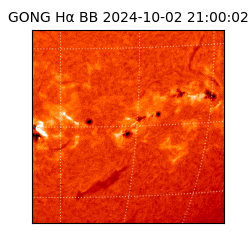 gong - 2024-10-02T21:00:02