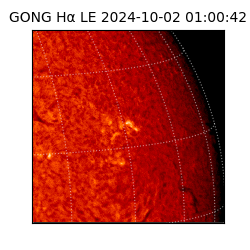 gong - 2024-10-02T01:00:42