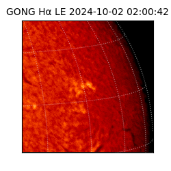 gong - 2024-10-02T02:00:42