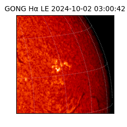 gong - 2024-10-02T03:00:42