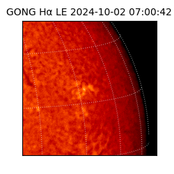 gong - 2024-10-02T07:00:42