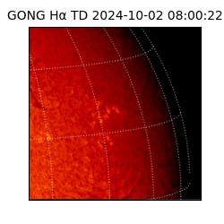 gong - 2024-10-02T08:00:22