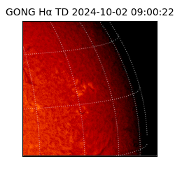 gong - 2024-10-02T09:00:22