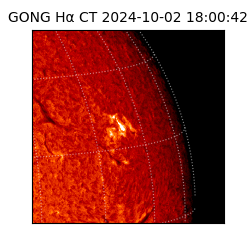 gong - 2024-10-02T18:00:42