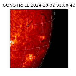 gong - 2024-10-02T01:00:42