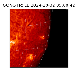 gong - 2024-10-02T05:00:42