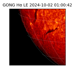 gong - 2024-10-02T01:00:42