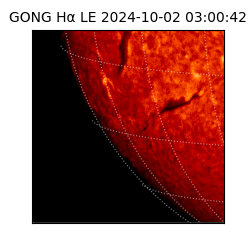 gong - 2024-10-02T03:00:42