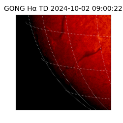 gong - 2024-10-02T09:00:22