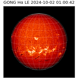 gong - 2024-10-02T01:00:42