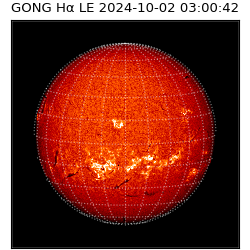 gong - 2024-10-02T03:00:42