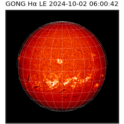 gong - 2024-10-02T06:00:42