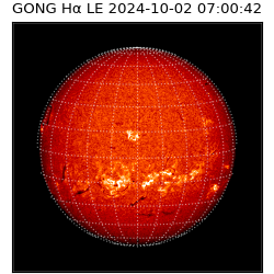 gong - 2024-10-02T07:00:42