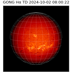 gong - 2024-10-02T08:00:22