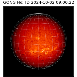 gong - 2024-10-02T09:00:22