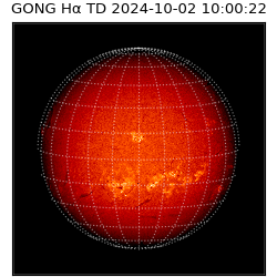 gong - 2024-10-02T10:00:22