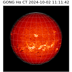 gong - 2024-10-02T11:11:42