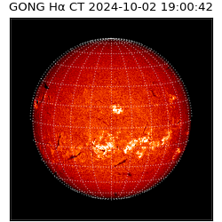 gong - 2024-10-02T19:00:42
