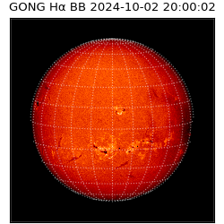 gong - 2024-10-02T20:00:02