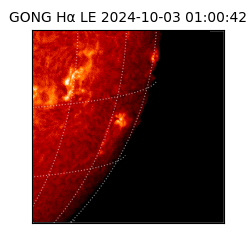gong - 2024-10-03T01:00:42