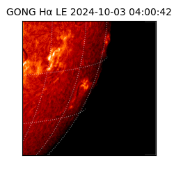 gong - 2024-10-03T04:00:42