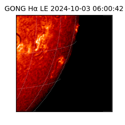 gong - 2024-10-03T06:00:42