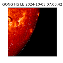 gong - 2024-10-03T07:00:42