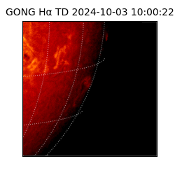 gong - 2024-10-03T10:00:22