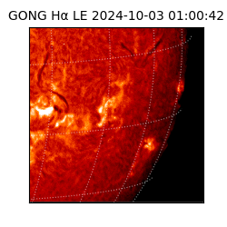 gong - 2024-10-03T01:00:42