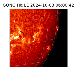 gong - 2024-10-03T06:00:42