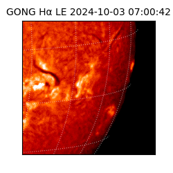 gong - 2024-10-03T07:00:42