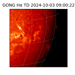 gong - 2024-10-03T09:00:22