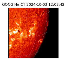 gong - 2024-10-03T12:03:42