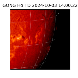 gong - 2024-10-03T14:00:22