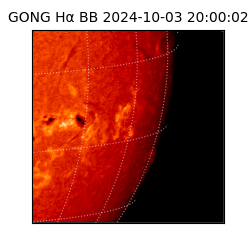 gong - 2024-10-03T20:00:02