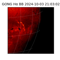 gong - 2024-10-03T21:03:02