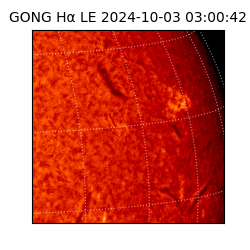 gong - 2024-10-03T03:00:42