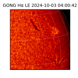 gong - 2024-10-03T04:00:42