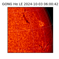 gong - 2024-10-03T06:00:42