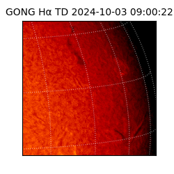 gong - 2024-10-03T09:00:22