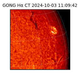 gong - 2024-10-03T11:09:42